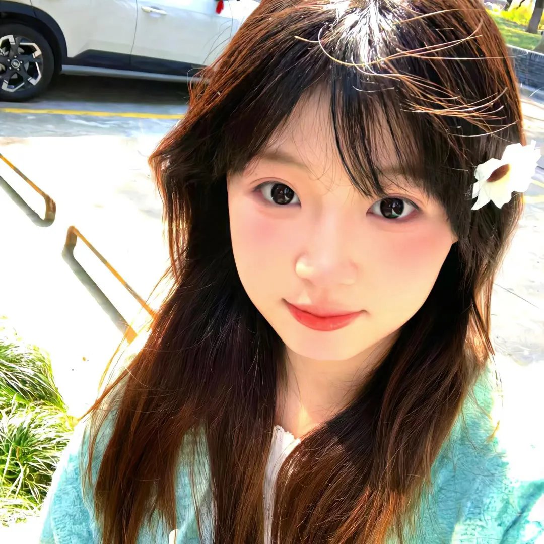 地球四季 海报
